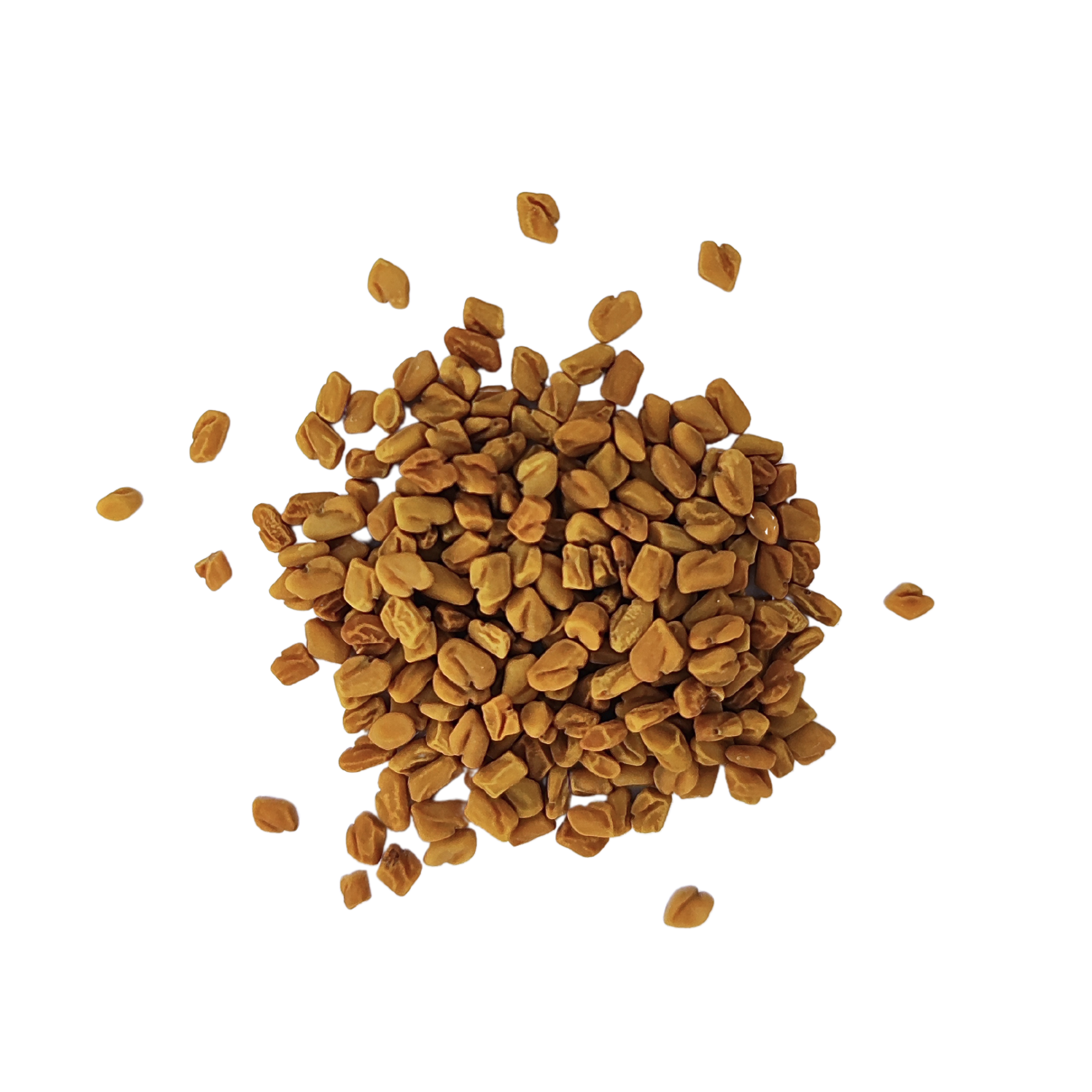Graines De Fenugrec - Marque Tradition Nature - Produit Neuf En Sachet